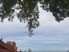 生命的自然法则