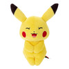 多美 TOMY精灵宝可梦Chokkorisan皮卡丘(笑容)204272 商品缩略图0