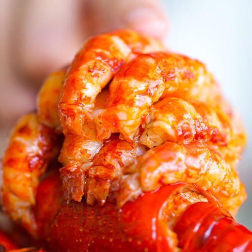 湖北潜江 神虾皇后神惊小龙虾600克/盒任意3盒顺丰包邮 商品图2