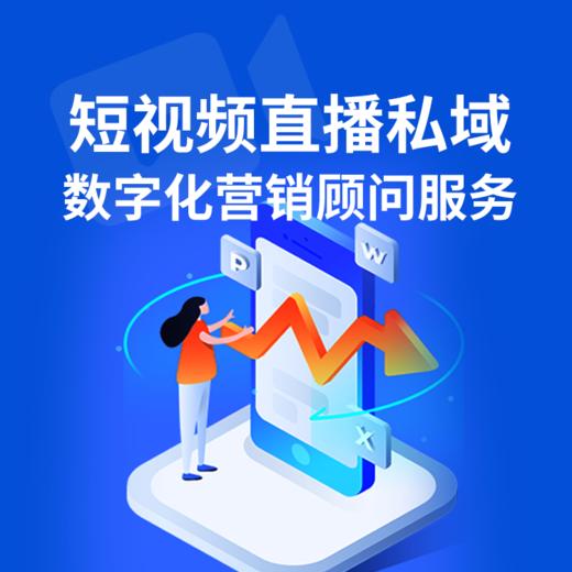 私域顾问流量 商品图0