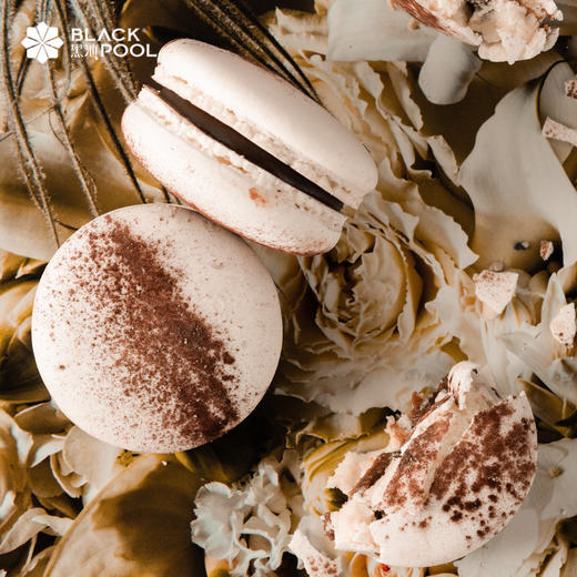 经典法式甜点马卡龙-15颗装马卡龙礼盒  15g/个 商品图4