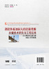 斜拉体系加固大跨径箱梁桥关键技术研究与工程应用——以东明黄河公路大桥改造工程为依托 商品缩略图1