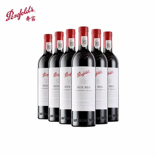 B1F 奔富 BIN389 商品图1