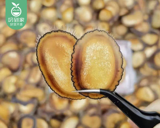 吉林鹿茸片（半腊片）/1盒（3g）+赠西洋参片3g 生产日期：25年12月补单专用 商品图1