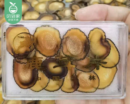 吉林鹿茸片（半腊片）/1盒（3g）+赠西洋参片3g 生产日期：25年12月补单专用 商品图4