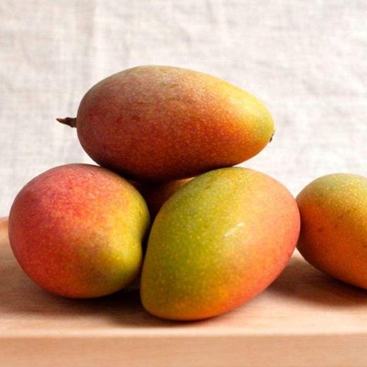 业主福利~【海南空运贵妃芒】约5斤/箱，树上熟，更香更甜 商品图4