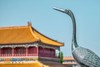 北京·秋染紫禁城6天摄影（筑梦中国）10月18日（12人封顶） 商品缩略图7
