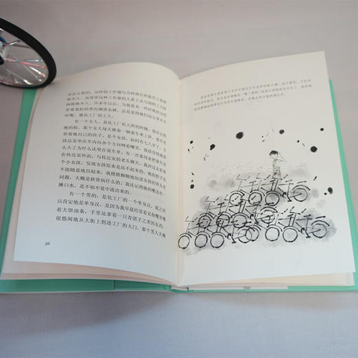 自行车之歌 我们小时候 精装珍藏版 苏童 著 中国散杂文 商品图3