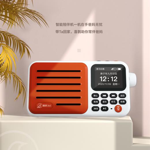 限量抢-喜鹊365智能陪伴机 AI语音控制 声音大  方便携带（正品保证） 商品图1