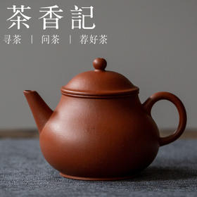 茶香记定制款 朱泥 小芭乐紫砂壶  精心定制  赵庄 小容量