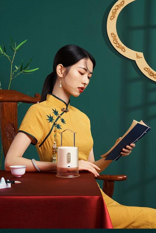 小宫灯灭蚊灯神器 可调夜灯 装饰挂件带储蚊箱 优雅内涵 古典高端 采用法国进口溶液 安全环保健康 婴童孕妇可用 无线工作 便携 四档定时 超长待机 360度无死角灭蚊 24小时贴心守护 商品图3