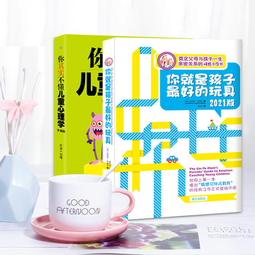 你就是孩子Z好的玩具 樊登导读版（全2册）儿童心理书籍 商品图3