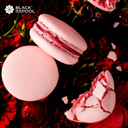 经典法式甜点马卡龙-15颗装马卡龙礼盒  15g/个 商品图6