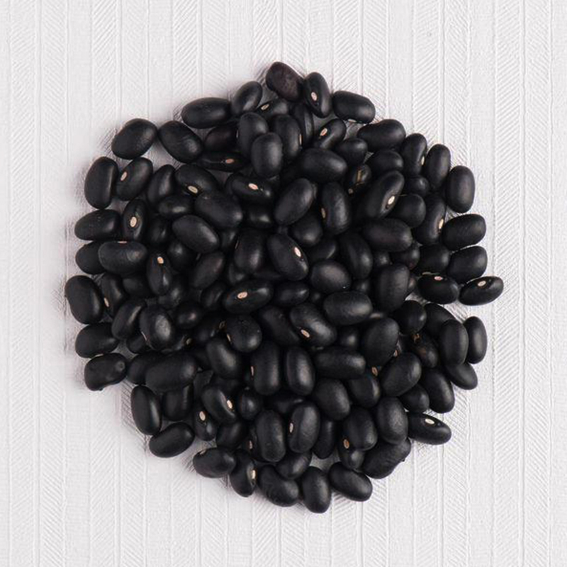 广东农家种植黑豆3斤 仁化黑大豆五谷杂粮有机豆