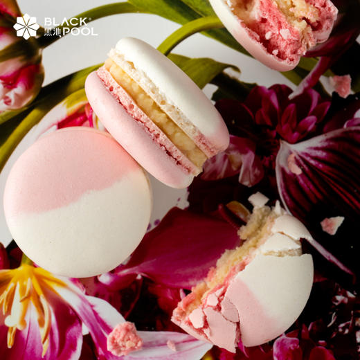 经典法式甜点马卡龙-15颗装马卡龙礼盒  15g/个 商品图9