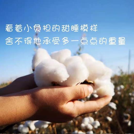 塔玛庄园  新疆长绒无网棉被  夏凉被 商品图4