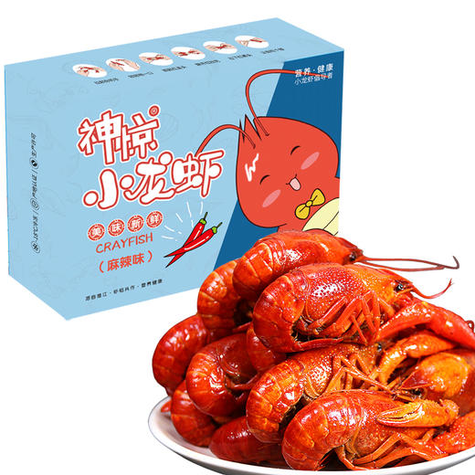 湖北潜江 神虾皇后神惊小龙虾600克/盒任意3盒顺丰包邮 商品图5