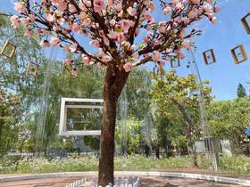 小泡泡屋种子标本坊