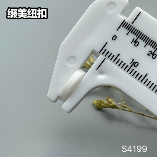 S4199(整包购买) 商品图6