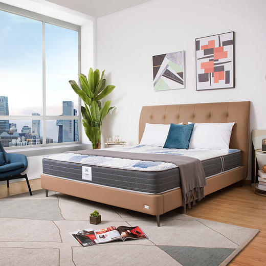 Sealy丝涟床垫 活力加 愈典 商品图5