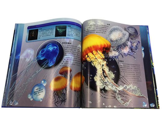 DK生物大揭秘:海洋生物精装版 DK海洋动物生物海洋动物大百科中文 商品图3