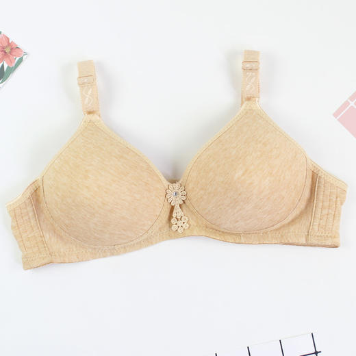 YY-688文胸彩棉薄款大码胸罩无钢圈简约时尚中老年内衣 商品图8