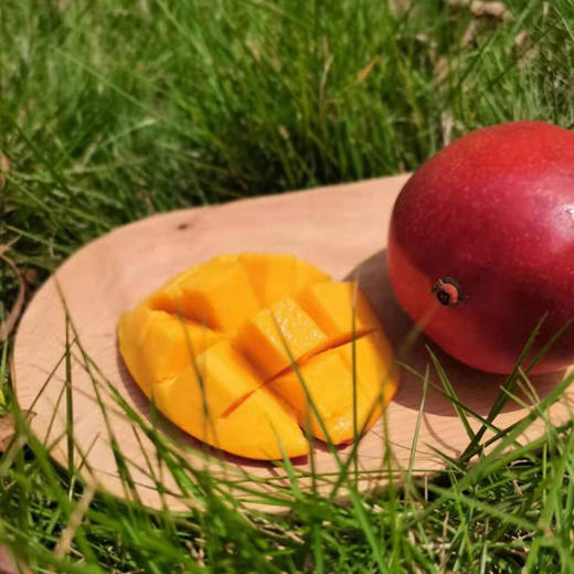 三亚树上熟珍珠芒 商品图1