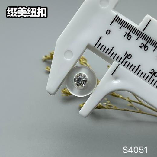 S4051(整包购买) 商品图5