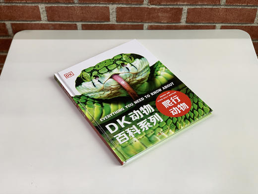 DK动物百科系列 爬行动物 精装版 6-12岁儿童中文正版出版社DK动 商品图1