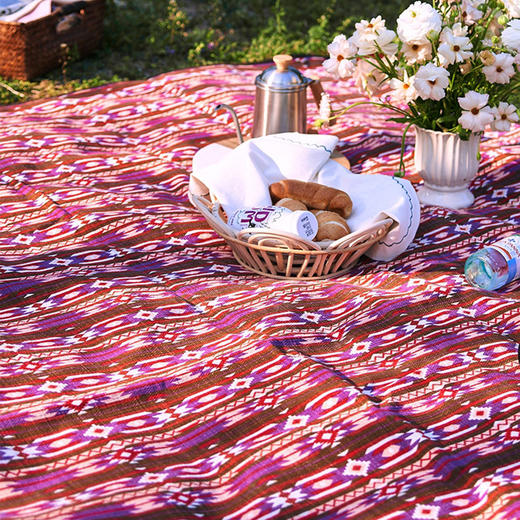 阳春小镇野餐垫防潮北欧户外露营地垫 商品图1