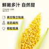 【99元任选12件】昔日印象丨甜玉米粒开袋即食低脂真空玉米水果罐头 商品缩略图1