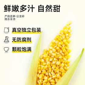 甜玉米粒开袋即食轻食低脂减新鲜肥真空玉米水果罐头代餐食品