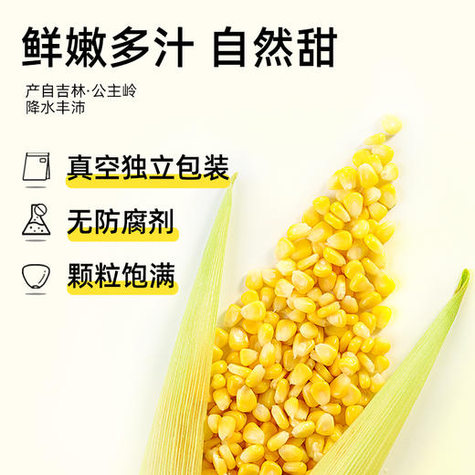 【99元任选12件】昔日印象丨甜玉米粒开袋即食低脂真空玉米水果罐头 商品图1