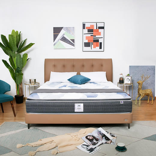 Sealy丝涟床垫 活力加 愈荣 商品图1