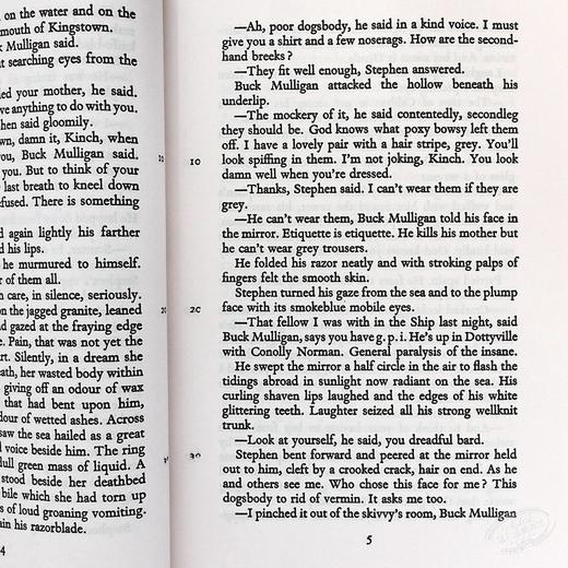 【中商原版】尤利西斯英文原版小说英文版经典文学 Ulysses 爱尔兰文学巨匠詹姆斯.乔伊斯代表作 20世纪世界富影响的名著之一 商品图4
