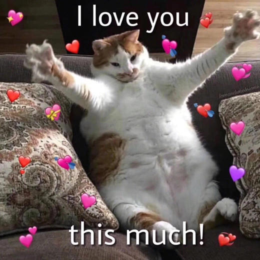 Auto付费优惠券 商品图0