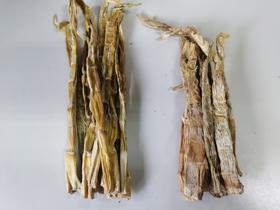 临安本土品牌“山妹子”天目石笋干 今年新笋 浓郁笋香 韧性很足