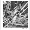 塞西尔·比顿：光彩年华 20世纪时尚摄影艺术大师的传奇生涯回顾集 摄影 艺术书籍 商品缩略图2