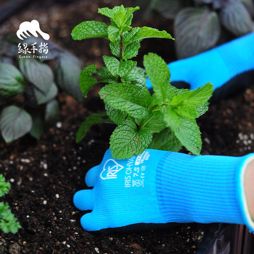 园艺手套 | 公平贸易 * Gardening glove | Fair-Trade 商品图0