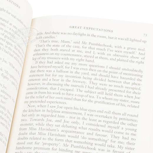 【中商原版】Wordsworth Collector s Editions Great Expectations 英文原版 经典小说收藏版系列 远大前程 Charles Dickens 商品图3