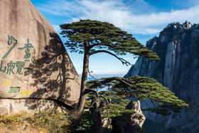 【五一华为专团】清凉黄山、婺源篁岭、瓷都景德镇休闲高铁5天游