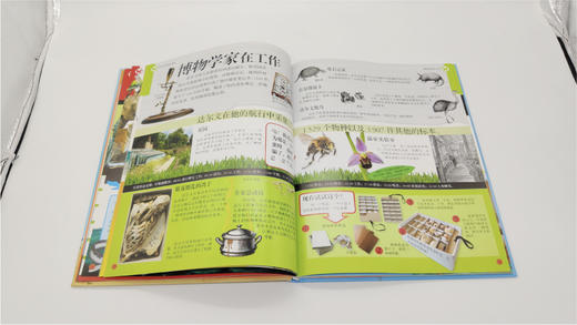 DK有趣的进化:从达尔文到DNA DK有趣的科学系列 进化论百科科普达 商品图2