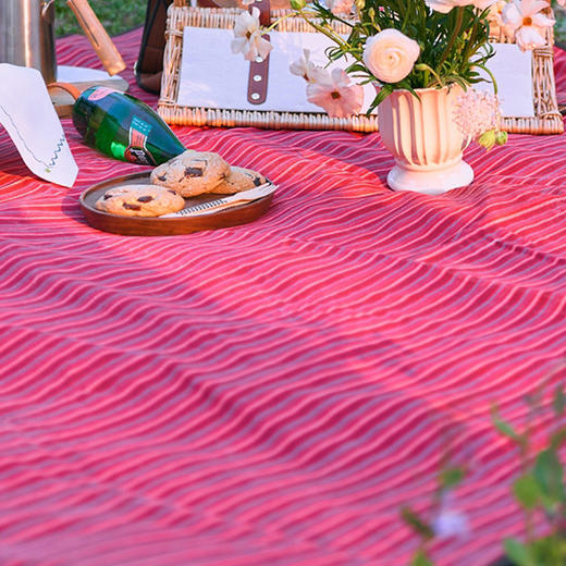 阳春小镇野餐垫防潮北欧户外露营地垫 商品图3