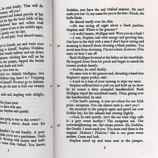 【中商原版】尤利西斯英文原版小说英文版经典文学 Ulysses 爱尔兰文学巨匠詹姆斯.乔伊斯代表作 20世纪世界富影响的名著之一 商品图7
