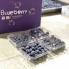 青岛蓝莓 商品缩略图4