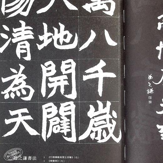 香港北魏真书/港版原版 /陈浚人/陈濬人/徐巧诗/香港三联书店 商品图5