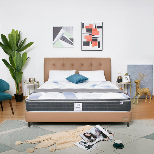 Sealy丝涟床垫 活力加 愈舒 商品图1