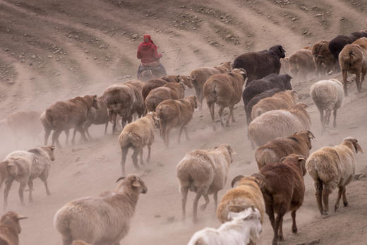 11月4日金秋帕米尔9天摄影团  ：喀什 / 白沙湖 / 慕士塔格峰冰川公园 / 盘龙古道 / 胡杨林 商品图10