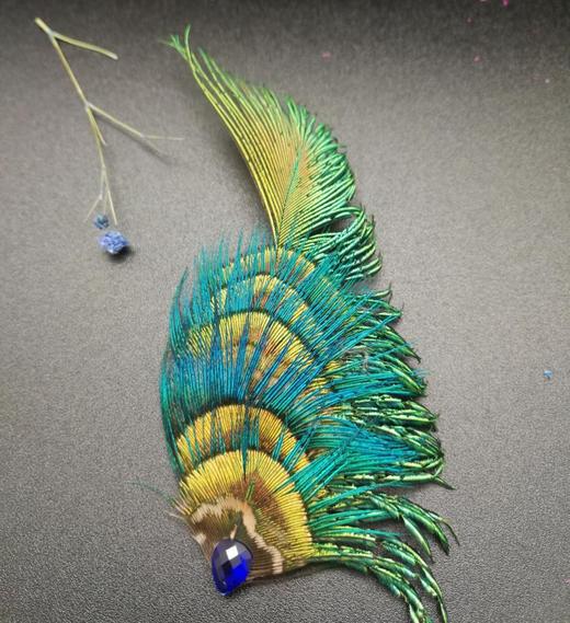 金毛胸花 商品图0