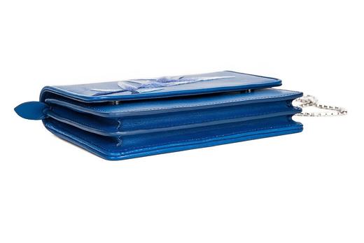 熙上CICICHEUNG 篁·竹叶刺绣·链条包 商品图8